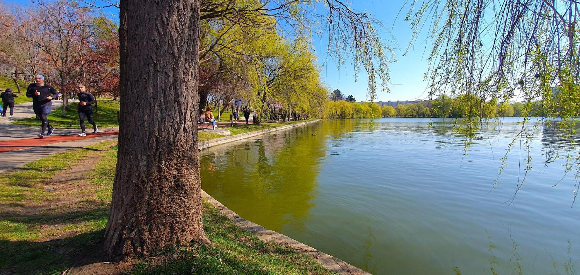 City Break Park Studio Бухарест Экстерьер фото