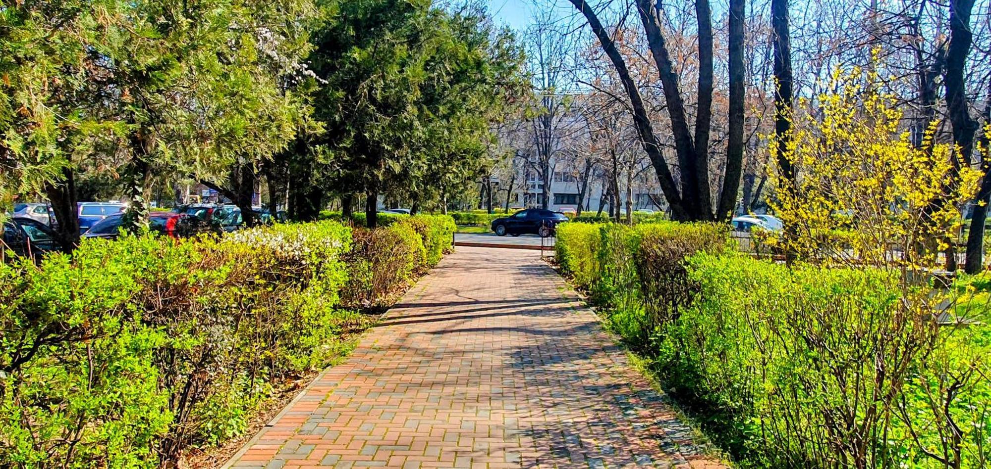 City Break Park Studio Бухарест Экстерьер фото